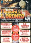 Turi2008.jpg
