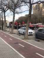 IMG_0272.jpeg