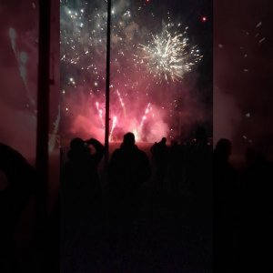 Shows Nederland 2019