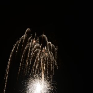 DSC_7943.JPG