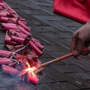 Chinees Nieuwjaar, Den-Haag