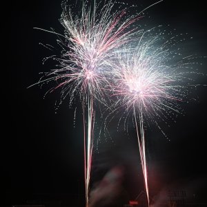 DSC_3066.jpg