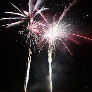 DSC_3098.jpg