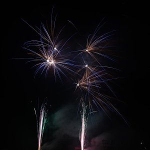 DSC_3108.jpg