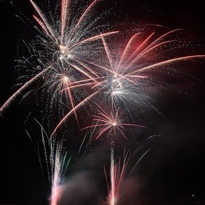 DSC_3113.jpg