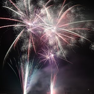 DSC_3118.jpg