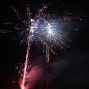 DSC_3124.jpg