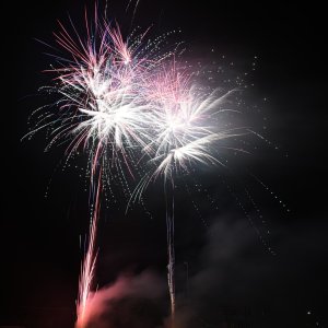 DSC_3138.jpg