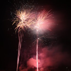 DSC_3146.jpg