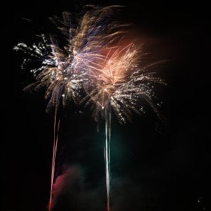 DSC_3154.jpg