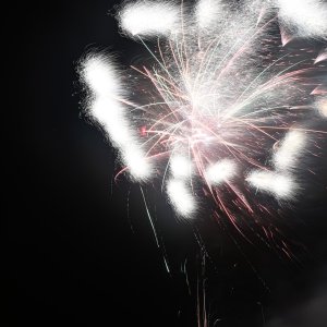 DSC_3175.jpg