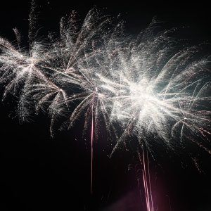 DSC_3202.jpg