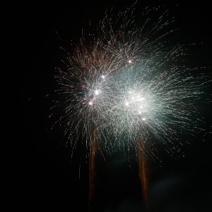 DSC_3220.jpg