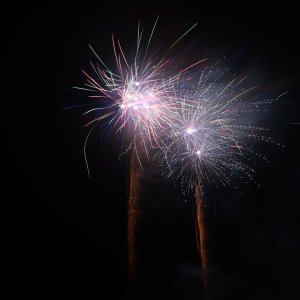 DSC_3225.jpg