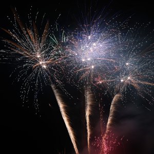 DSC_3236.jpg