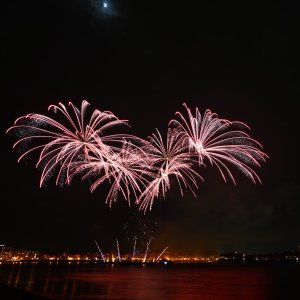 DSC_3313.JPG