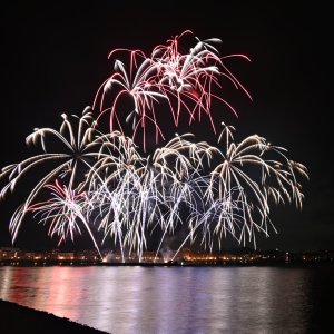 DSC_3335.JPG