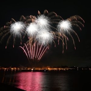 DSC_3367.JPG