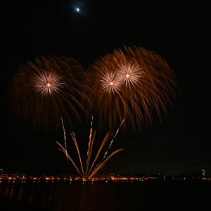 DSC_3373.JPG