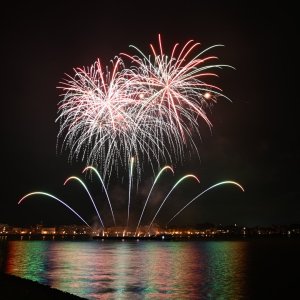 DSC_3396.JPG