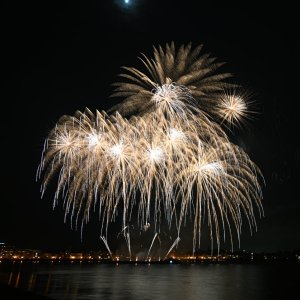DSC_3416.JPG