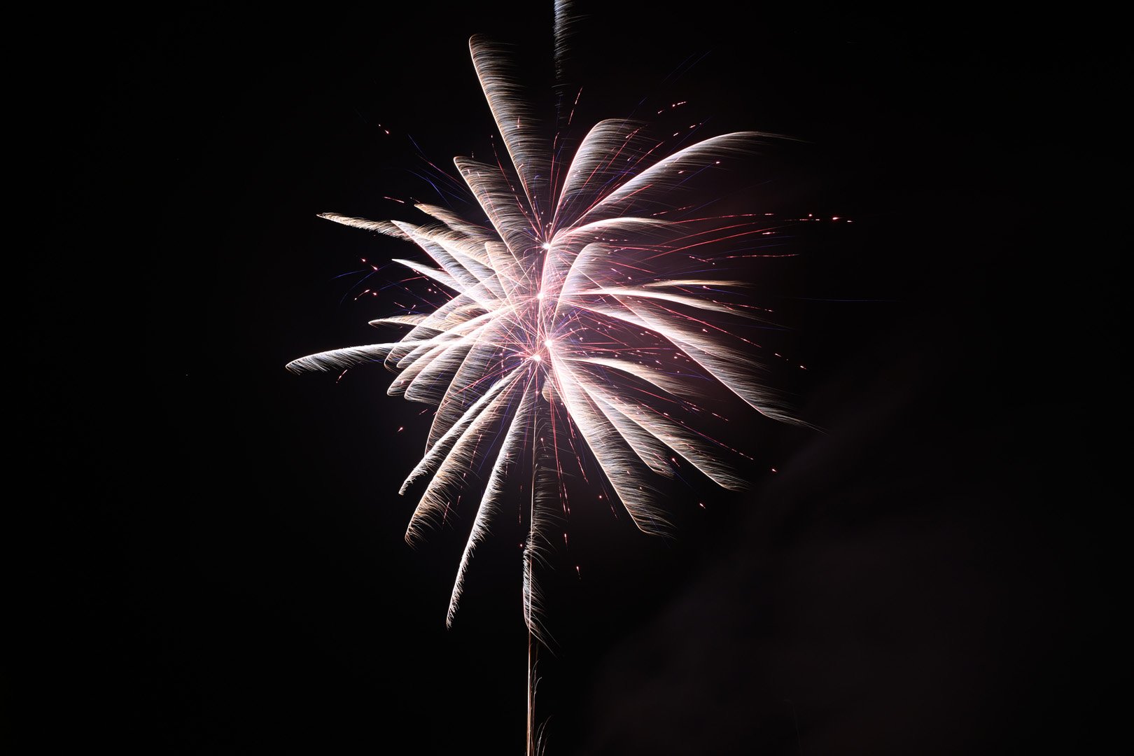 DSC_3189.jpg