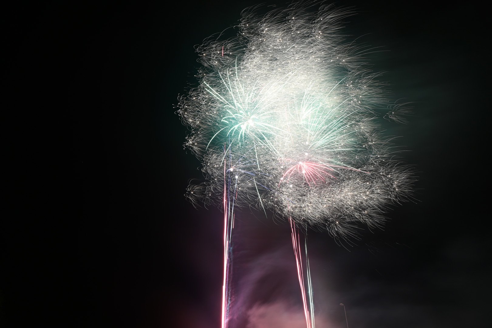 DSC_3207.jpg