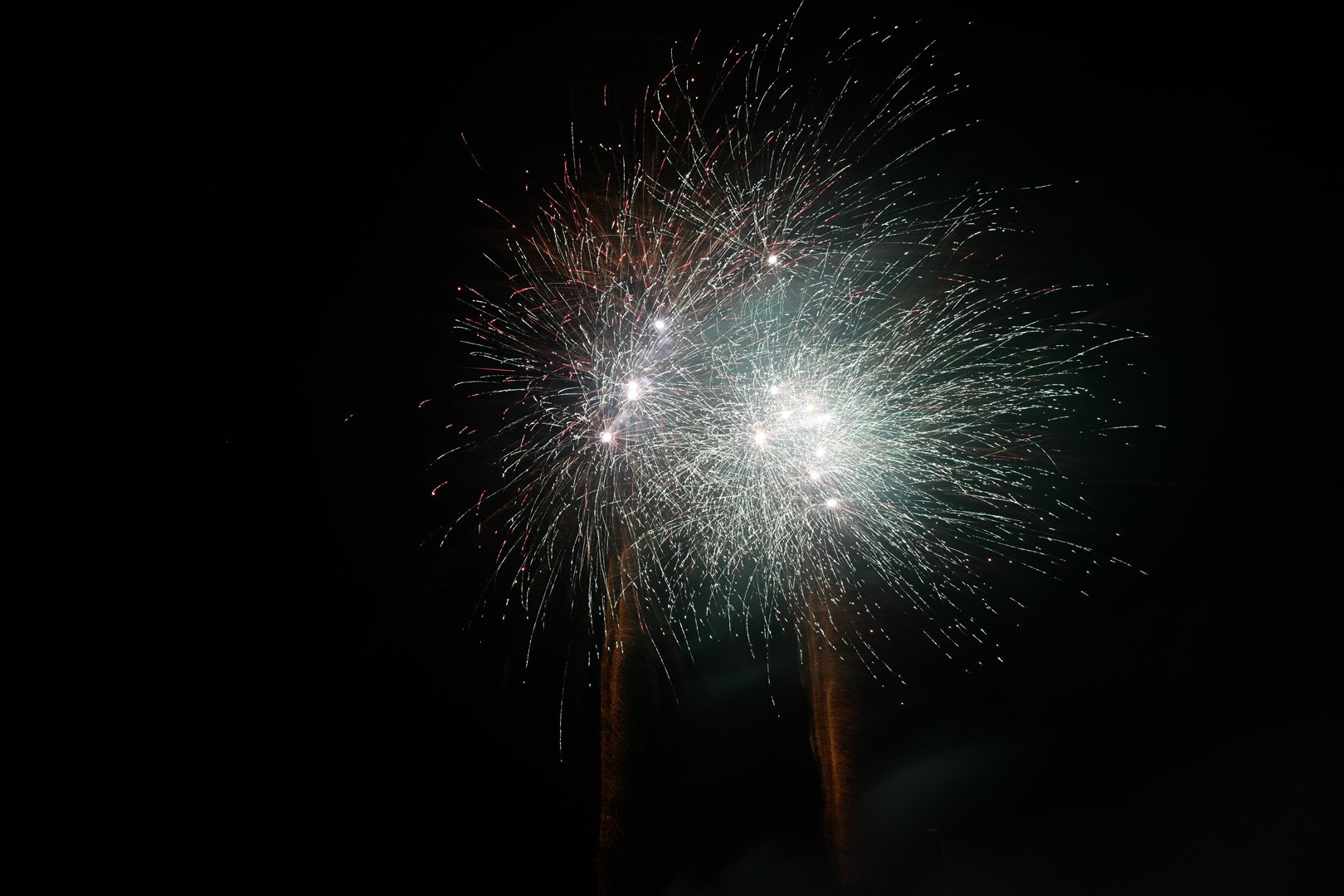 DSC_3220.jpg