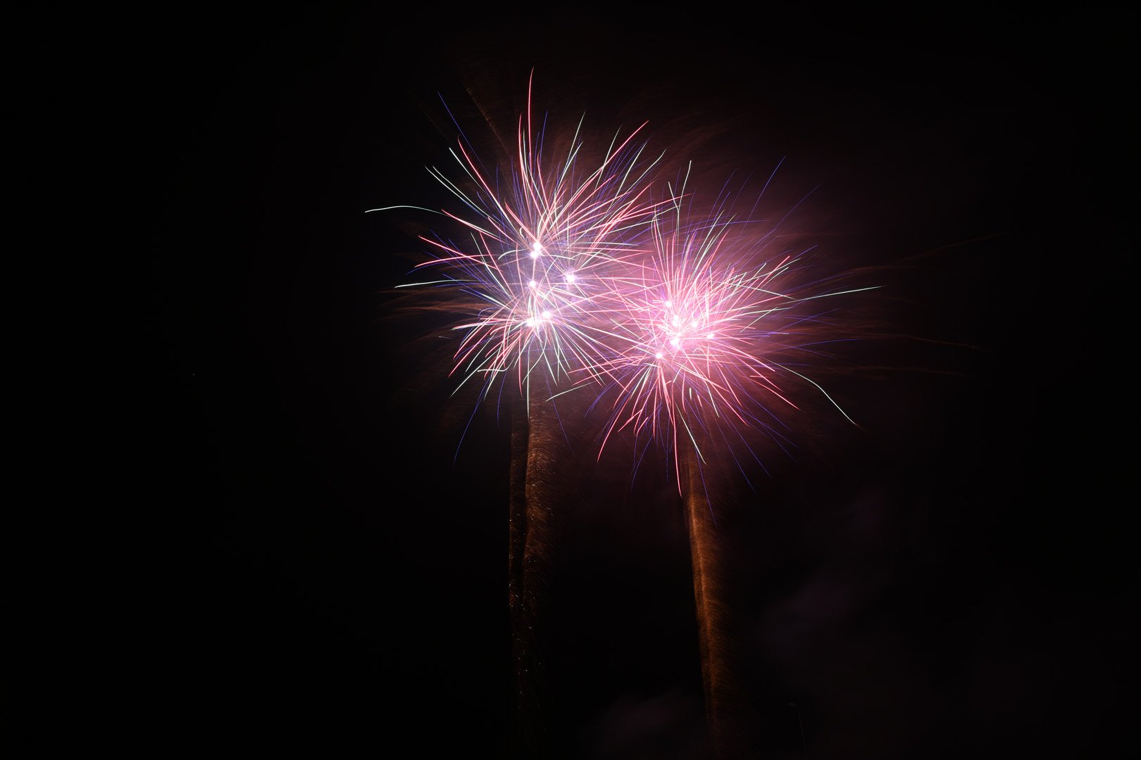 DSC_3224.jpg