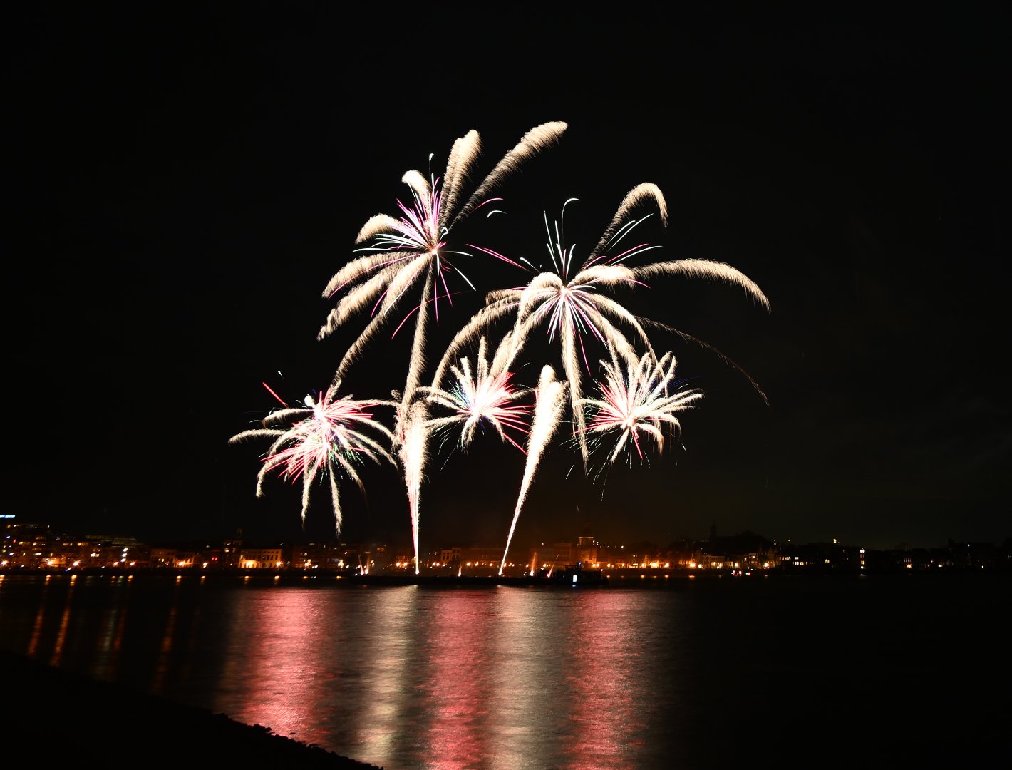 DSC_3326.JPG